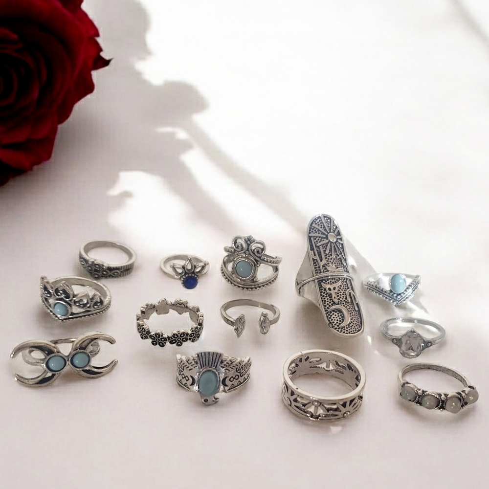 Bohemian Ring Set of 13 Silvertone Faux Costume Jewelry Goth Y2K Bling Gift New